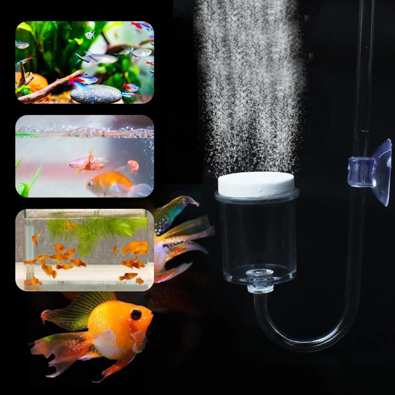 DIY ชุดกระจาย CO2 4ชิ้นสำหรับต - Planted Aquarium Co2 Kit บทวิจารณ์และราคา