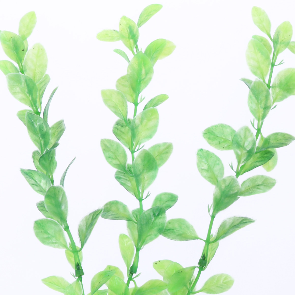 ต้นไม้พลาสติกสีเขียวประดิษฐ์สำ - Non Planted Aquarium Fish บทวิจารณ์และราคา