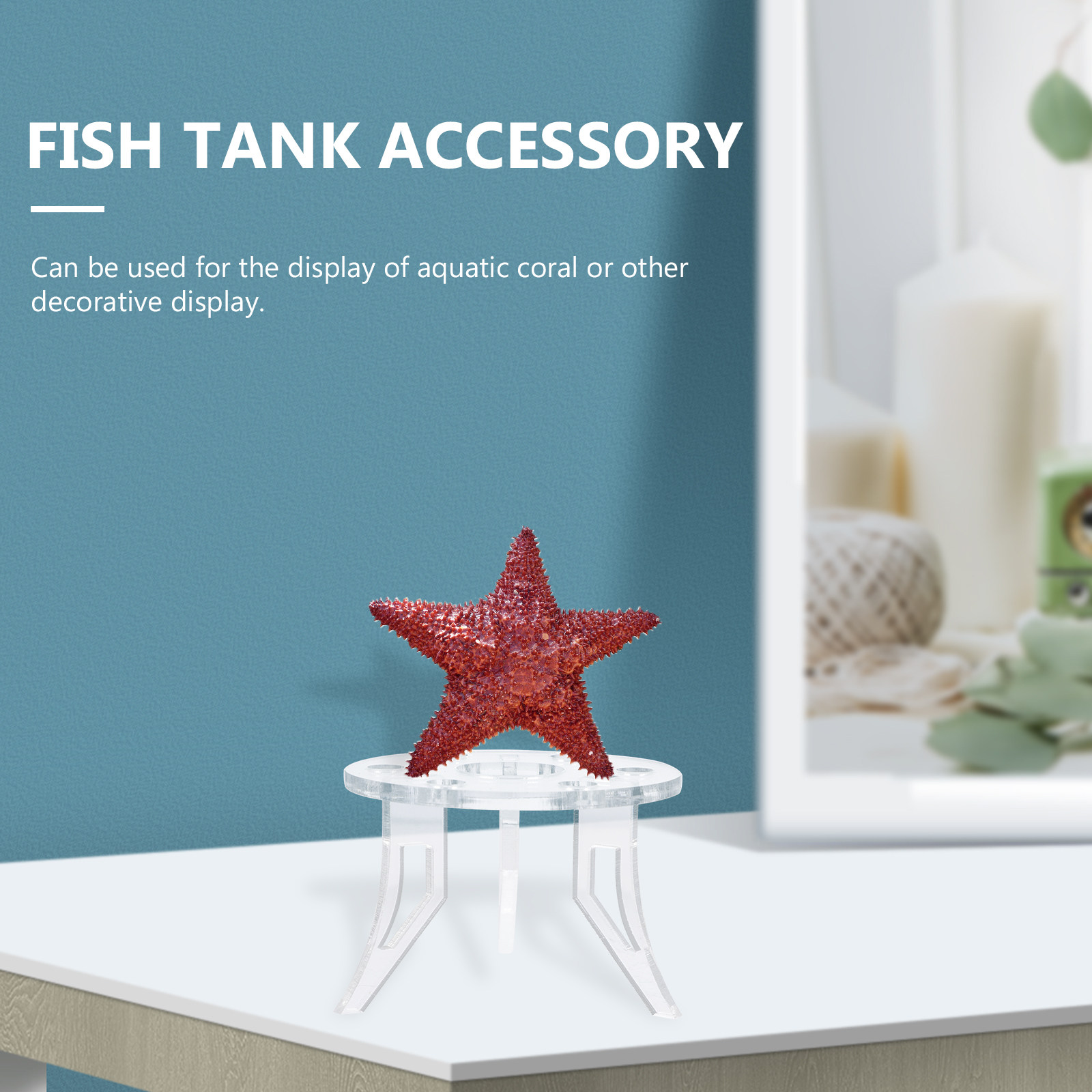 ฐานวางปะการัง 1 ชิ้น อุปกรณ์ตก - Aquarium Planted Setup บทวิจารณ์และราคา