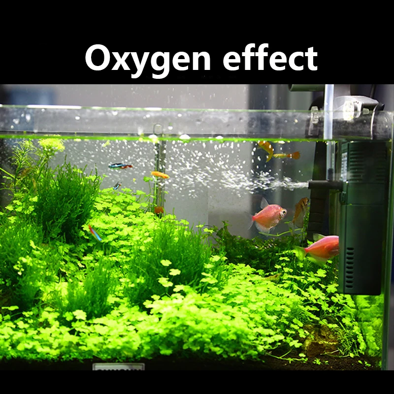 Sunsun 311B 111B ขนาดเล็กนาโน6 - Planted Aquarium Products บทวิจารณ์และราคา