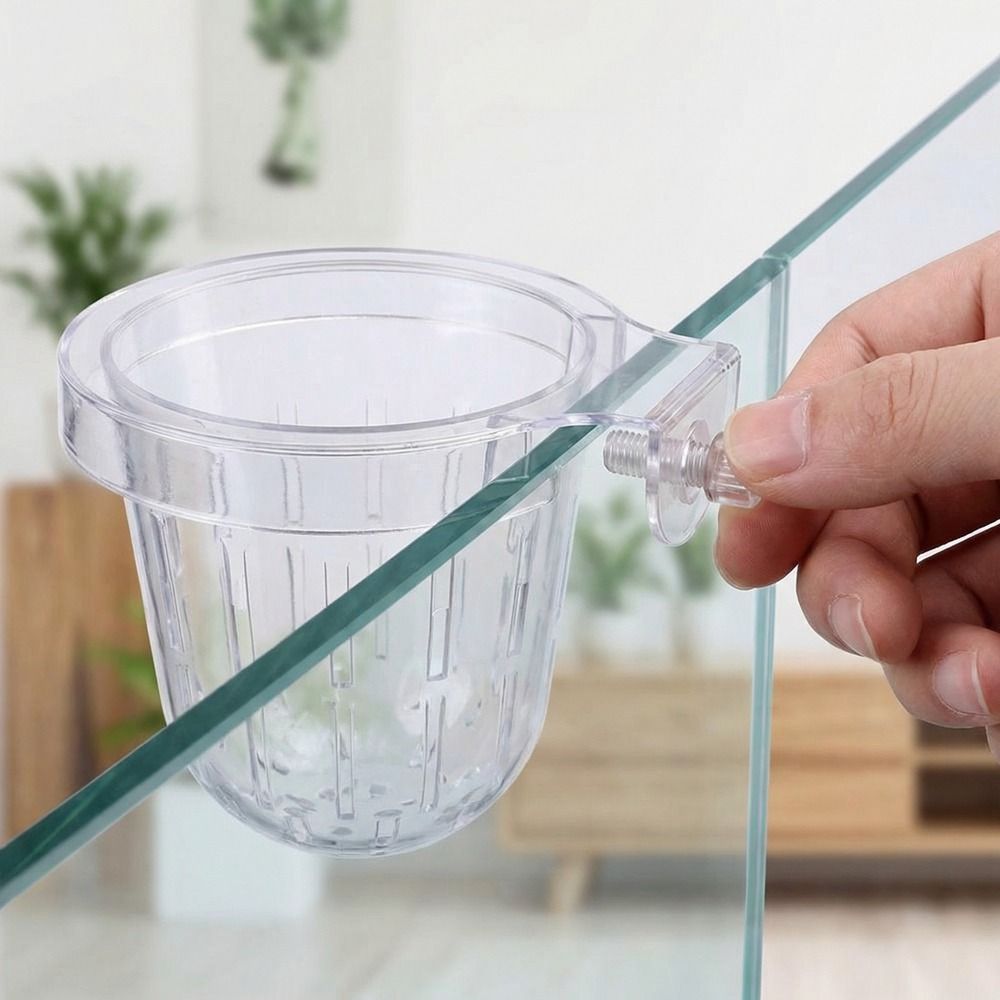 กระถางปลูกต้นไม้ในตู้ปลาแบบใส  - Aquarium Planted Wall บทวิจารณ์และราคา