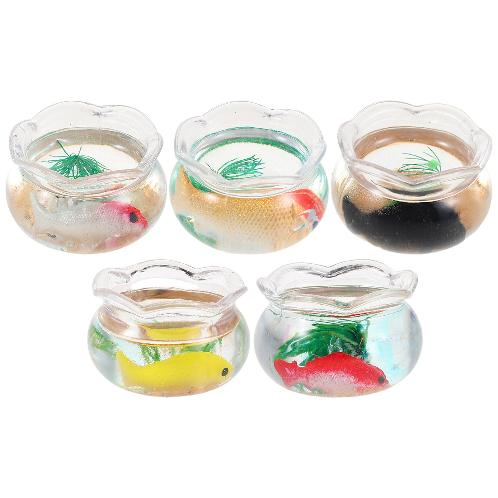 ตู้ปลาขนาดเล็กทรงกลม 5 ชิ้น สำ - Aquarium Planted Fish บทวิจารณ์และราคา