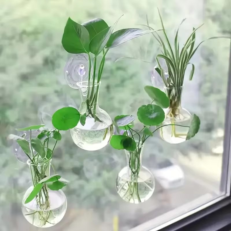 แจกันติดผนังรูปครึ่งวงกลมสำหรั - Aquarium Planted Wall บทวิจารณ์และราคา