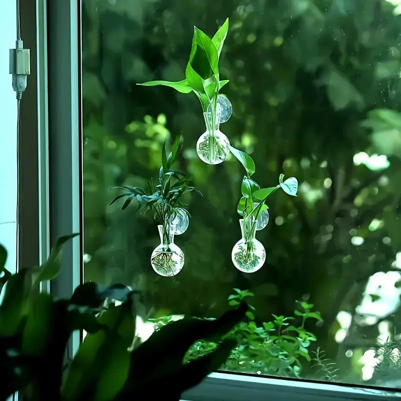 แจกันติดผนังรูปครึ่งวงกลมสำหรั - Aquarium Planted Wall บทวิจารณ์และราคา