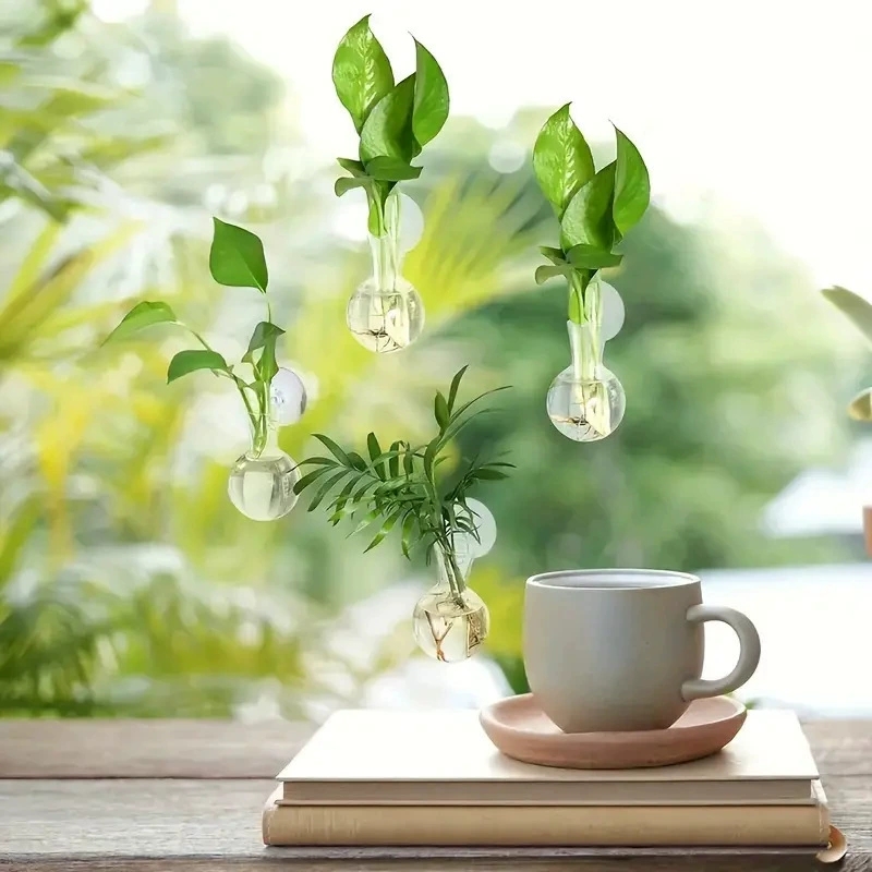 แจกันติดผนังรูปครึ่งวงกลมสำหรั - Aquarium Planted Wall บทวิจารณ์และราคา